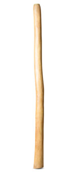 Medium Size Natural Finish Didgeridoo (TW1626)